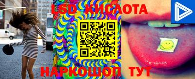 тгк Кандалакша