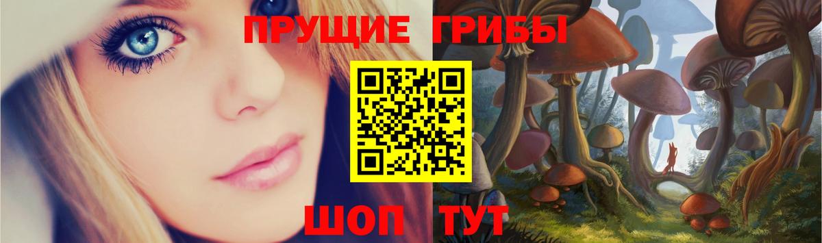 Псилоцибиновые грибы мухоморы  Псилоцибиновые грибы ЛСД  наркота  Вязьма  Вход с VPN 